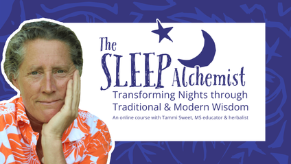 Product image for The Sleep Alchemist: Transforming Nights through Traditional and Modern Wisdom
