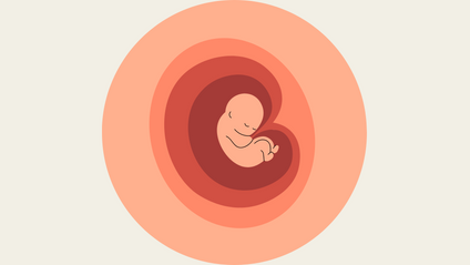 Product image for First Trimester Affirmations