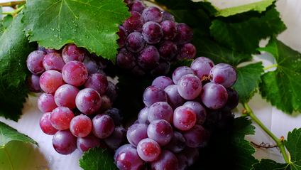 Product image for GRAPES Ancient Civilizations Mini Unit Bundle