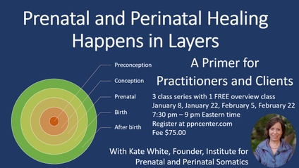 Product image for Prenatal and Perinatal Healing Happens in Layers