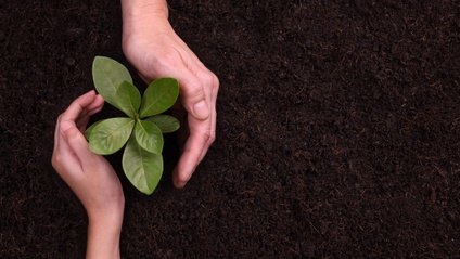 Product image for 【CORE＆SEED】　