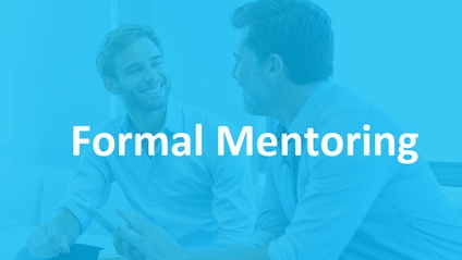 Product image for Formal Mentoring 