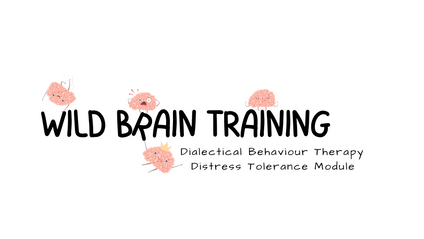 Product image for Dialectical Behaviour Therapy- Distress Tolerance Module