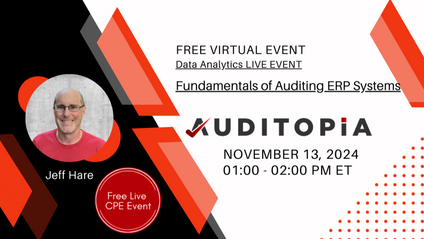 Product image for Fundamentals of Auditing ERP Systems on Auditopia