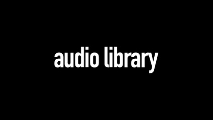 Product image for The Audio Library