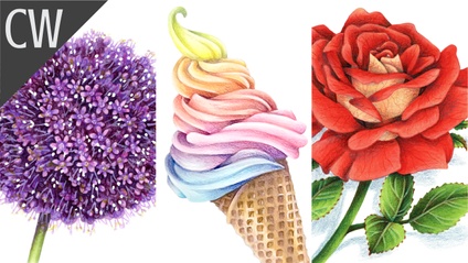 Product image for Color Wonk Summer Trio (2024)
