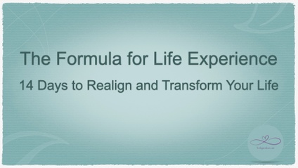Product image for The Formula for Life Experience: 14 Days to Realign and Transform Your Life