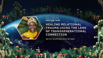Product image for Healing Relational Trauma Through the Lens of Transgenerational Connection