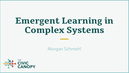 Product image for Emergent Learning in Complex Systems