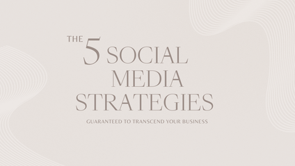 Product image for The 5 Social Media Strategies