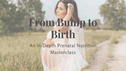 Product image for From Bump to Birth: An In-Depth Prenatal Nutrition Masterclass 
