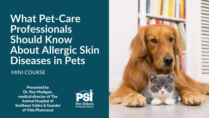 Product image for Mini Course: What Pet-Care Professionals Should Know About Allergic Skin Diseases in Pets