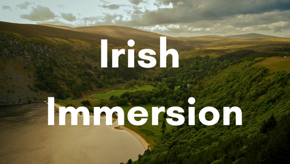 Product image for Irish Immersion