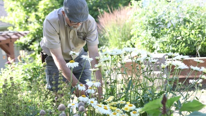 Product image for Home Gardener