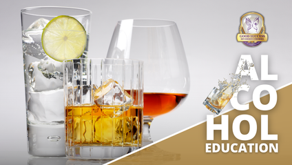 Product image for Alcohol Education