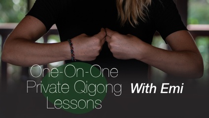 Product image for One-On-One Private Qigong Lesson with Emi