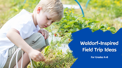 Product image for Waldorf-Inspired Field Trip Ideas