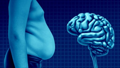 Product image for Better Brain 6 Week Nervous System Reset and Weight Loss Program