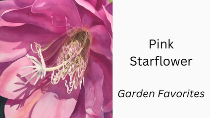 Product image for Pink Starflower Workshop Replay