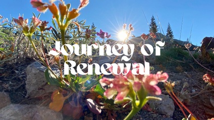 Product image for Journey of Renewal