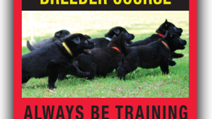 Product image for Safe, Scientific Breeder Course For SUCCESS...