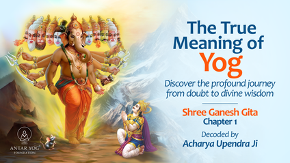 Product image for THE TRUE MEANING OF YOG