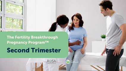Product image for Fertility Breakthrough™ Pregnancy Program - Second Trimester