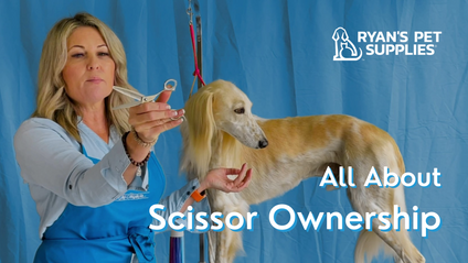 Product image for All About Scissor Ownership