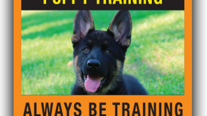 Product image for Turn Your Puppy Into a CHAMPION...
