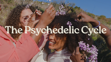 Product image for The Pychedelic Cycle