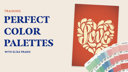 Product image for  Perfect Color Palettes