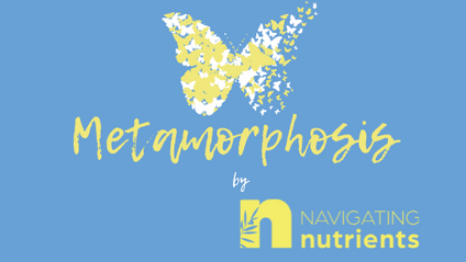 Product image for Metamorphosis