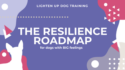 Product image for The Resilience Roadmap