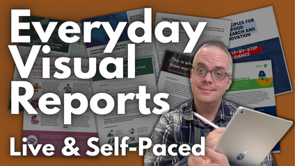 Product image for Everyday Visual Reports
