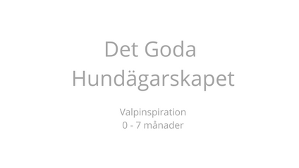 Product image for Valpinspiration, STARTAR LÖPANDE