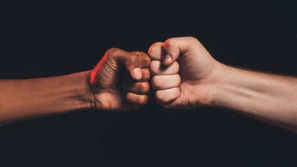 Product image for Race and Conflict
