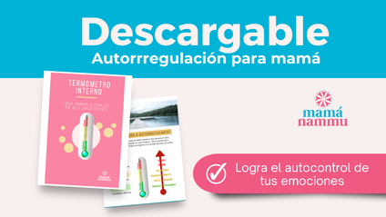 Product image for Manual de autorregulación