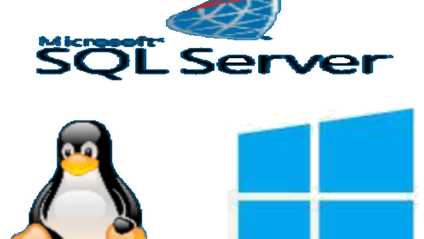 Product image for SQL Server資料庫架構師