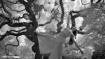 Product image for Open Enrollment- Embodied Dance Teacher Certification 2025