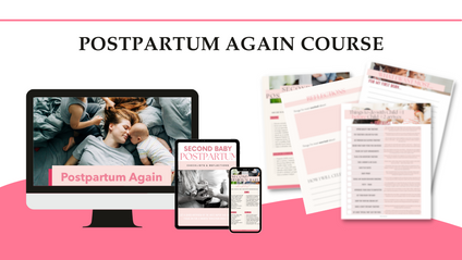 Product image for Postpartum Again