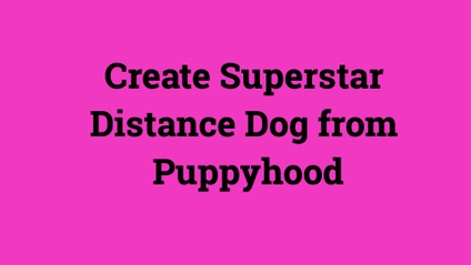 Product image for Creating a Superstar Distance Dog from Puppyhood 