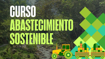 Product image for Abastecimiento sostenible