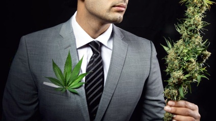 Product image for Cannabis Executive Program
