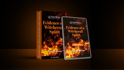 Product image for Evidence of a Witchcraft Spirit