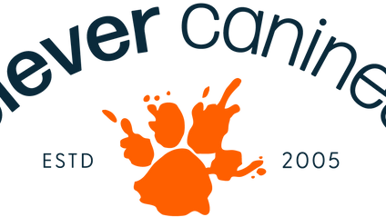 Product image for Clever Canines Mastery Program 