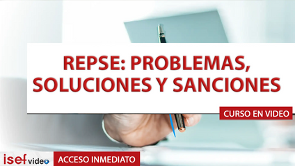 Product image for REPSE: PROBLEMAS, SOLUCIONES Y SANCIONES