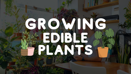 Product image for Growing Edible Plants