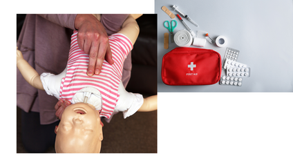 Product image for CHILD HEALTH SAFETY COURSE FOR PARENTS AND CAREGIVERS