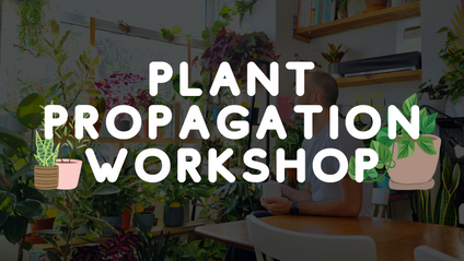 Product image for Plant Propagation Workshop
