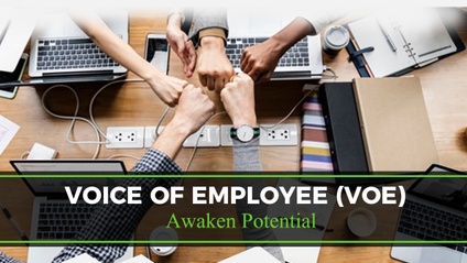 Product image for Voice of Employee Masterclass